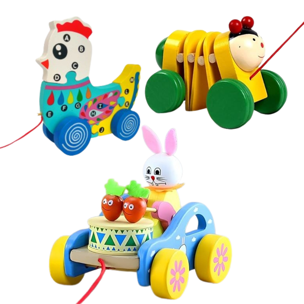 Push and Pull Toys