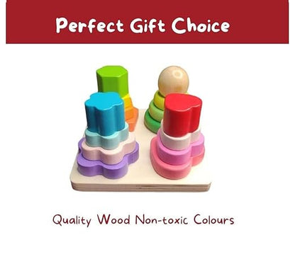 Wooden Montessori Shape Sorter